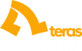 logo pt teras infrastruktur nusantara